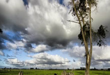 看直播足球赛有哪些独特的体验和实用技巧？